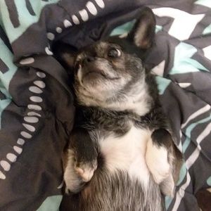 Meet your Posher, Todd